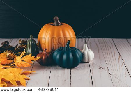 Fall Pumpkin Colorful Arragement For Autumn And Halloween Projects