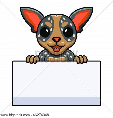 Vector Illustration Of Cute Australian Cattle Dog Cartoon Holding Blank Sign