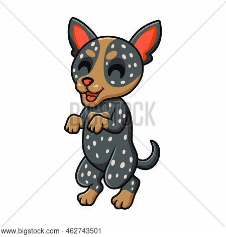 Vector Illustration Of Cute Australian Cattle Dog Cartoon