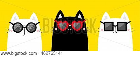 Cat Set Wearing Sunglass Eyeglasses. Round, Heart Square Shape Sunglasses. Blue Black Red Lenses. Cu