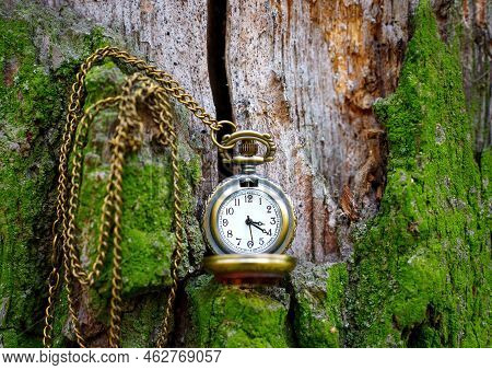 Vintage Bronze Toned Watch Placed On A Fairy Tail Background Made From Moss Covered Tree Trunk With 