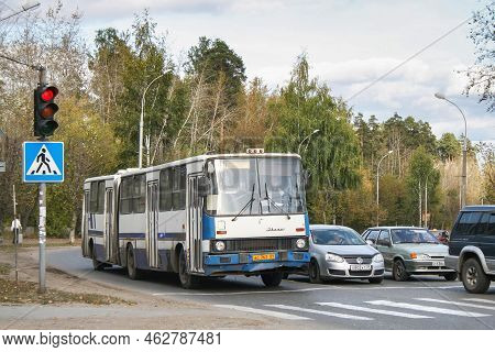 Perm, Russia - September 17, 2009: Old Jammed Articulated Bus Ikarus 280 In The City Street.