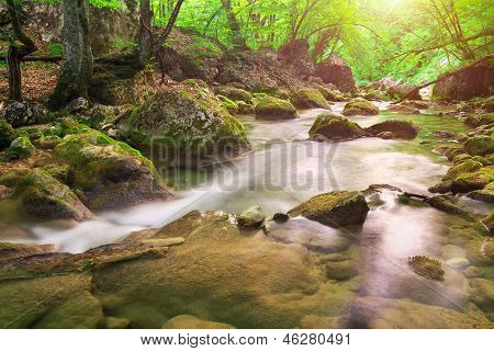 Horská řeka v lese a horském terénu. Krym, Grand Canyon