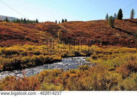 A Small Stream Flowing Through The Hills Overgrown With Low Bushes On A Warm Autumn Evening.