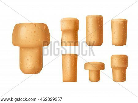 Set Cork Stopper Wooden Taps. Wine Bung In Cartoon. Corkwood Plug With Grape Bunch. Vector Illustrat