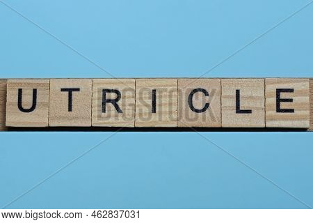 Word Utricle Made From Wooden Gray Letters Lies On A Blue Background