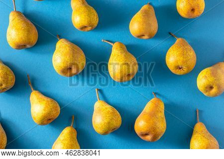 Yellow Pears On A Blue Background. Fruit Harvest. Autumn Still Life. Pear Variety Bera Conference. V