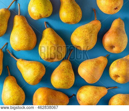 Yellow Pears On A Blue Background. Fruit Harvest. Autumn Still Life. Pear Variety Bera Conference. V
