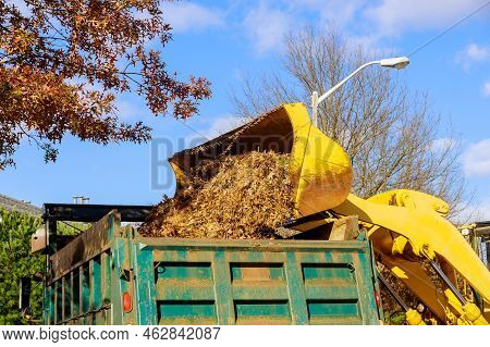 Municipality Removes Fallen Leaves With Excavators On Trucks Near Houses In Autumn When The Leaves F