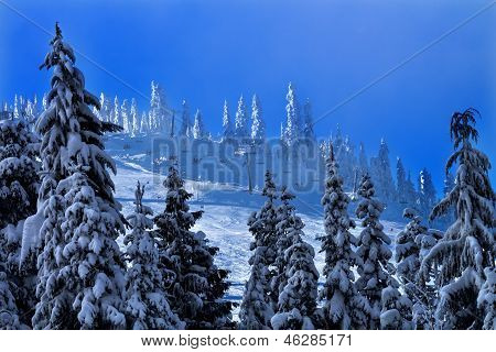 Běžecké lyžování sedačkové lanovky zasněžené stromy ve Washingtonu Snoqualme Pass