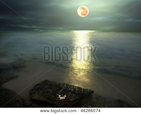 moonlight