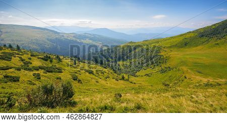 View In To The Mountain Valley. Beautiful Summer Landscape Of Trascarpathia With Forested Hills And 