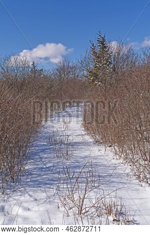 Fresh Snow On A Hidden Trail In The Crabtree Nature Preserve In Illinois