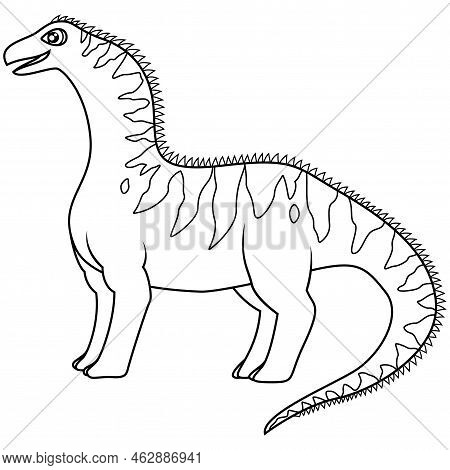 Hand Drawn Of Amargasaurus In Line Art