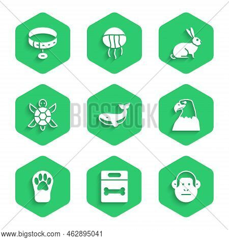 Set Whale, Dog Bone, Monkey, Eagle Head, Paw Print, Turtle, Rabbit And Collar With Name Tag Icon. Ve