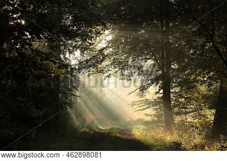 Road path autumn forest woods Nature trees sunset landscape Nature landscape Nature landscape landscape Nature background Nature landscape Nature background landscape Nature background Nature landscape Nature background Nature landscape Nature background.