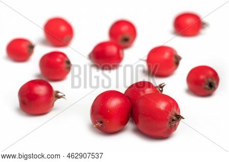 Hawthorn Or Common Hawthorn Or Crataegus Monogyna Berries Isolated On White Background.