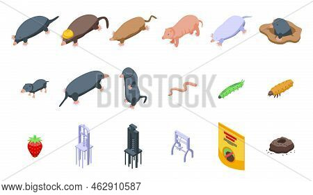 Mole Icons Set Isometric Vector. Animal Character. Bloated Dig