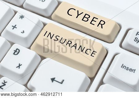 Hand Writing Sign Cyber Insurance. Business Concept Exclusive Plan To Protect The Company From Inter
