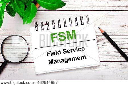 On A Light Wooden Background, A Magnifying Glass, A Pencil, A Green Plant And A White Notebook With 