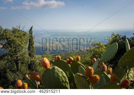 View From Picota Near Monchique In Algarve, Portugal, Into The Valley Of Serra De Monchique.