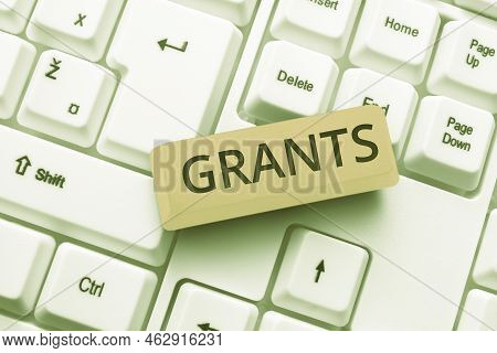 Conceptual Caption Grants. Conceptual Photo Nonrepayable Funds Or Products Disbursed Or Given By One