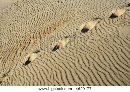 Spuren im Sand
