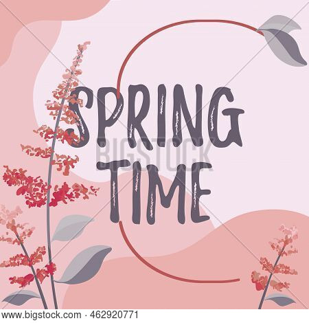 Hand Writing Sign Spring Time. Business Idea Temperate Season Of The Year Identified By A Revival Of