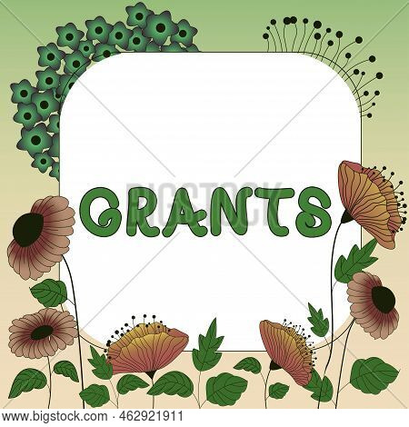 Sign Displaying Grants. Conceptual Photo Nonrepayable Funds Or Products Disbursed Or Given By One Pa