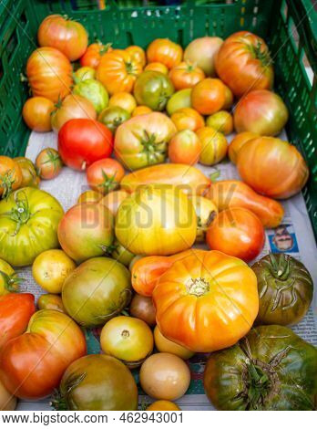 Variety Of Tomatoes On A Regional Seasonal Market In Autumn With Local Products In Germany, Called 