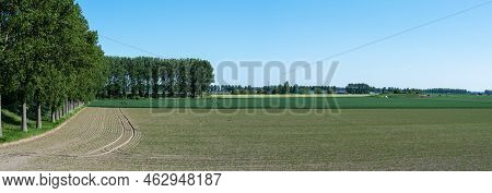 Extra Large Panoramic View Over The Agriculture Fields At The Nature Reserve Of The Drowned Land Of 