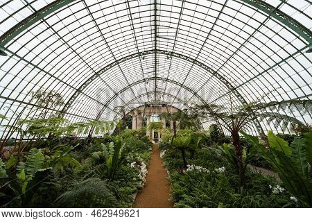 Laeken, Brussels Capital Region - Belgium - 06 06 2021 Interior Design And Cultivation Of Plants In 