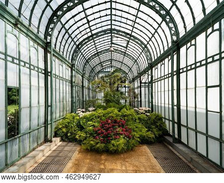 Laeken, Brussels Capital Region - Belgium - 06 06 2021 Interior Design And Cultivation Of Plants In 