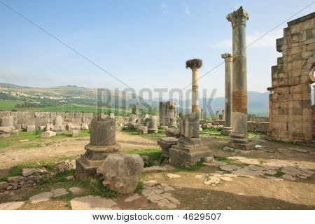 ซากปรักหักพังของ Volubilis แคปิตอล