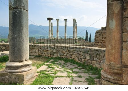 ซากปรักหักพังของ Volubilis แคปิตอล
