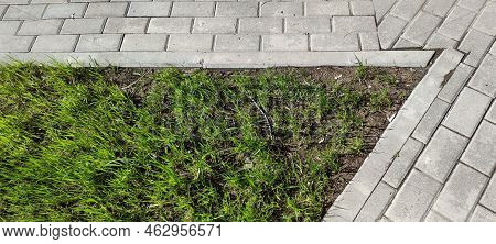 A Lawn In The Corner Of A Sidewalk Walkway. The Intersection Of Two Paths Lined With Gray Stone Form
