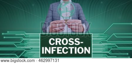 Conceptual Display Cross Infection. Word Written On Disease-causing Microorganism Transmitted Betwee