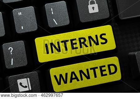 Conceptual Display Interns Wanted. Word For Looking For On The Job Trainee Part Time Working Student