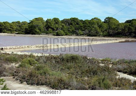 The Natural Reserve Of The Salinas Of Ibiza And Formentera A Spectacle Of The Balearic Islands In Sp