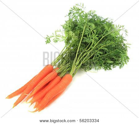 Fresh carrots. All on white background.