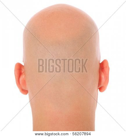 Back of the head of a bald man. All on white background.