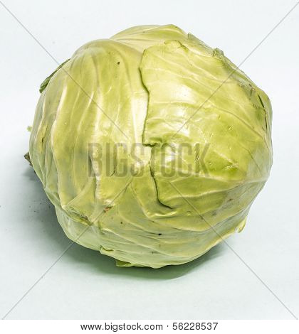 Cabbage