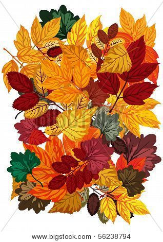 Background With Autumn Leaves