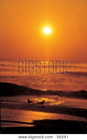 Sunset Image