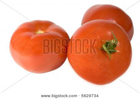 Pomodoro maturo