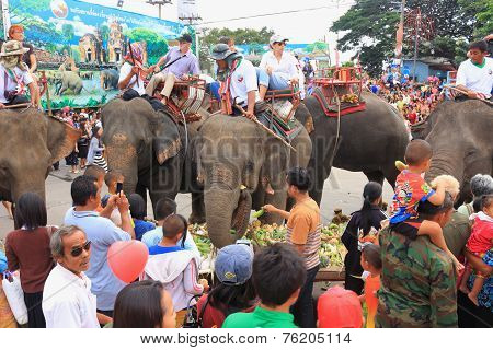 traveler take photo and give food to elephant