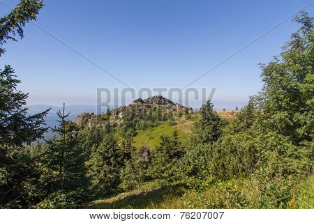 Hiking At The Arber