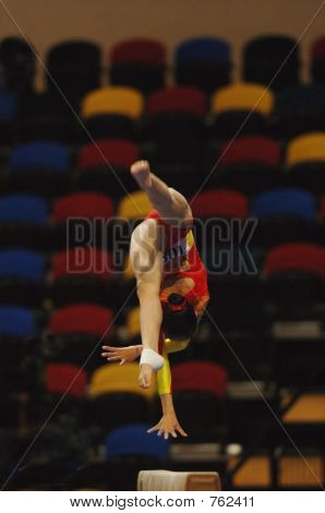 ginnastica