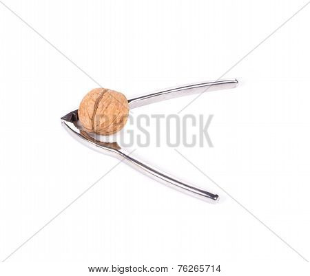 nutcracker and walnut