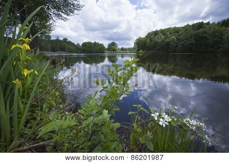 Les Mille Etangs, reflection on a lake, Vosges, France